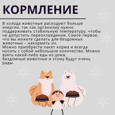 Кошка Любители Instagram Публикация, копия, копия, копия, копия, копия, копия
