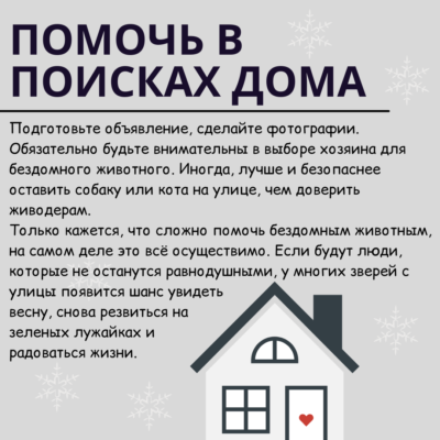 Кошка Любители Instagram Публикация, копия, копия, копия, копия, копия, копия, копия