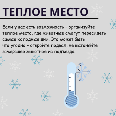 Кошка Любители Instagram Публикация, копия, копия, копия, копия, копия, копия, копия, копия